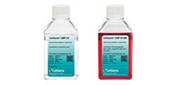 CellGenix® GMP DC • serum- & xeno-free culture medium for DCs